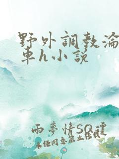 野外调教沦为公车h小说