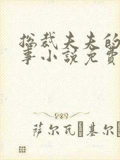 总裁夫夫的二三事小说免费阅读