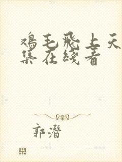鸡毛飞上天55集在线看