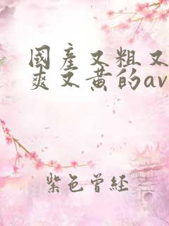 国产又粗又猛又爽又黄的av