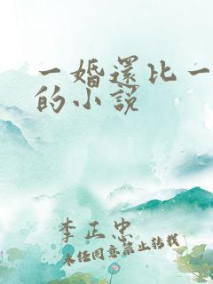 一婚还比一婚高的小说