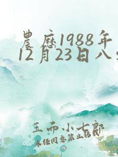 农历1988年12月23日八字算命