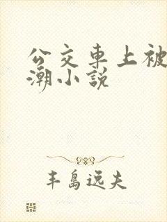 公交车上被插高潮小说