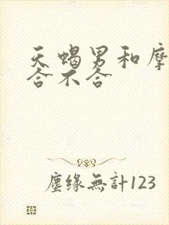 天蝎男和摩羯女合不合