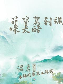 萌宝驾到飒爽妈咪太酷