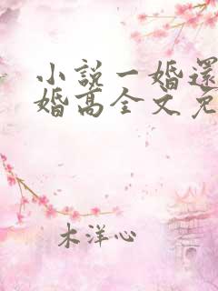 小说一婚还比一婚高全文免费阅读晨雾的光