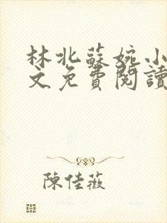 林北苏婉小说全文免费阅读无弹窗