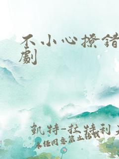 不小心撩错人短剧