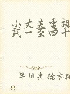 小丈夫电视剧下载一至四十集