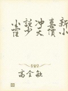 小说冲喜新娘:霍少天价小娇妻