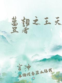 万相之王天蚕土豆著