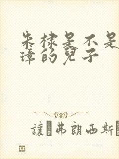 朱棣是不是朱元璋的儿子