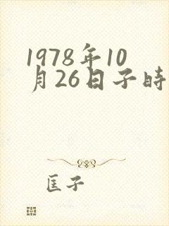 1978年10月26日子时生辰八字算命