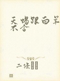 天蝎跟白羊座合不合