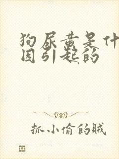 狗尿黄是什么原因引起的