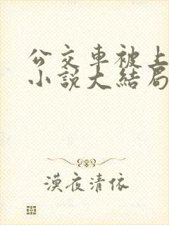公交车被上高潮小说大结局