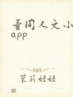 看同人文小说的app