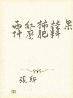 西红柿挂果期用什么肥料