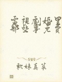 电视剧婚里婚外那些事免费观看