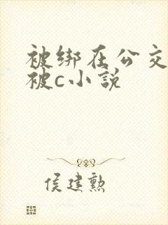 被绑在公交车里被c小说