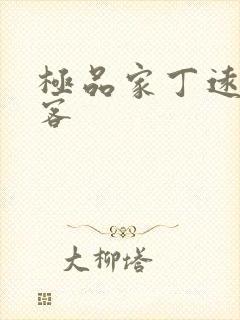 极品家丁远方来客