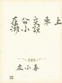 在公交车上被高潮小说