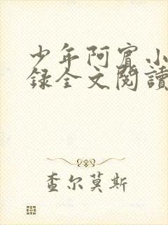 少年阿宾小说目录全文阅读无弹窗
