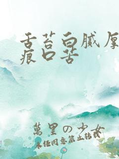 舌苔白腻厚有齿痕口苦