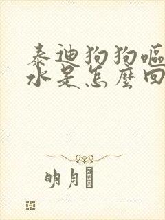 泰迪狗狗呕吐黄水是怎么回事