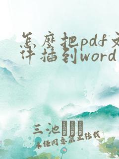 怎么把pdf文件插到word里