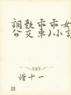 调教乖乖女h(公交车)小说