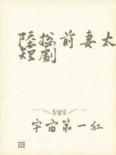 陆总前妻太傲娇短剧