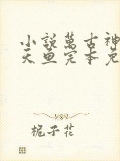 小说万古神帝飞天鱼完本免费阅读