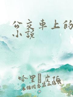 公交车上的言情小说