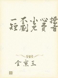一不小心撩错人短剧免费看