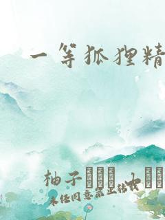 一等狐狸精