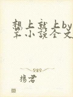 想上就上by迷羊小说全文免费阅读