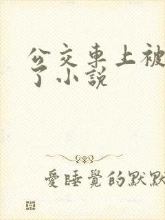 公交车上被高潮了小说