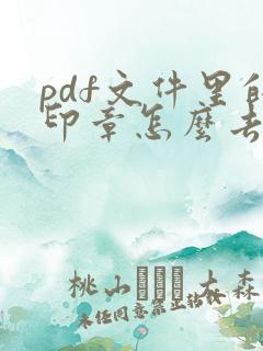 pdf文件里的印章怎么去掉