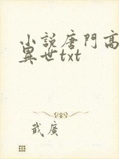 小说唐门高手在异世txt