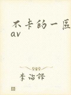 不卡的一区二区av