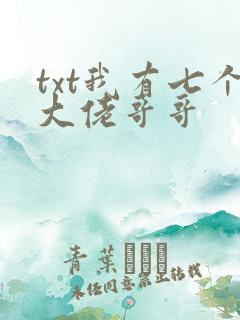 txt我有七个大佬哥哥