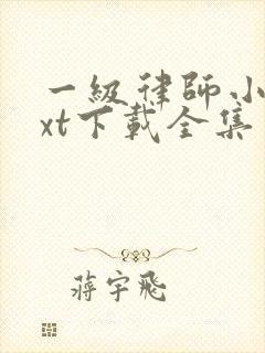 一级律师小说txt下载全集