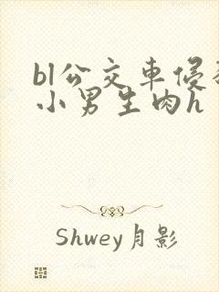 bl公交车侵犯小男生肉h