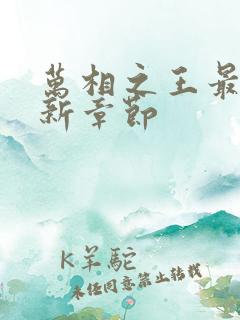 万相之王最快更新章节