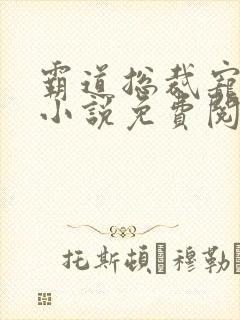 霸道总裁宠上天小说免费阅读