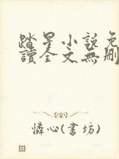 踏星小说免费阅读全文无删减