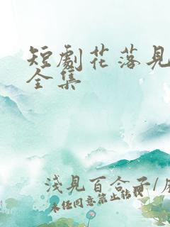 短剧花落见流萤全集