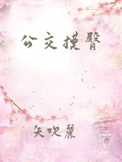 公交摸臀