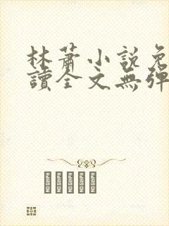 林萧小说免费阅读全文无弹窗